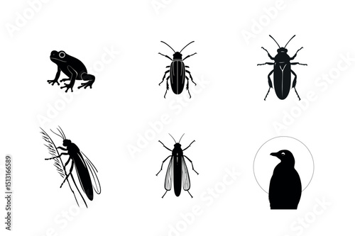 Silhouette icons of frog insects and penguin
