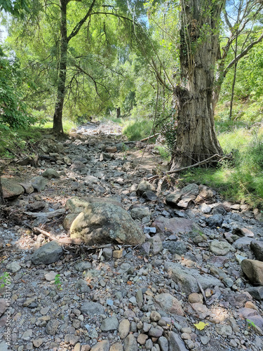 A dry creek bed in the Australian bush surrounded by eucalypt forest. Taken near Buchan Victoria Australia