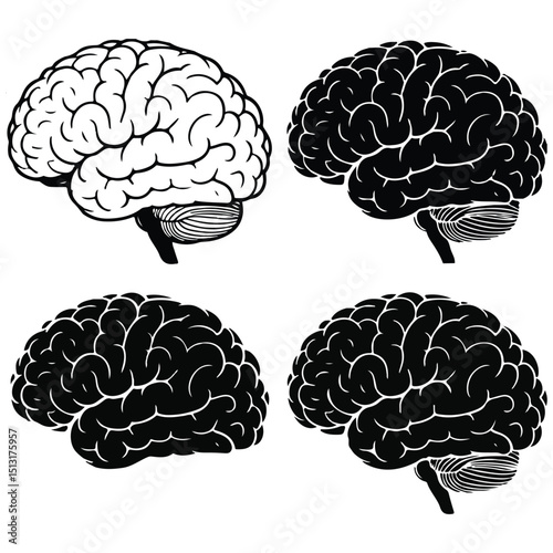 Human Brain silhouette , Cartoon brain illustration vector clip art design