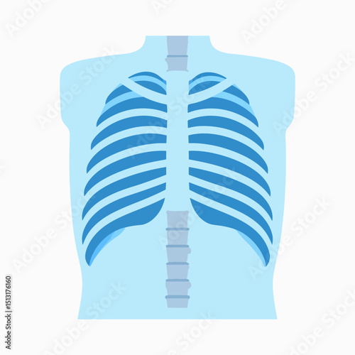 A blue anatomical illustration shows a rib cage with spine inside a torso