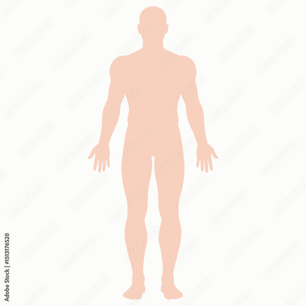 Fototapeta premium A peachcolored human silhouette stands against a blank white background