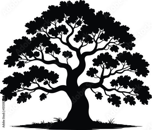 A silhouette of a large tree with a full canopy against a transparent background illustration
