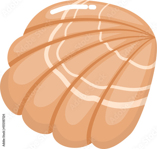 Cute Orange Seashell