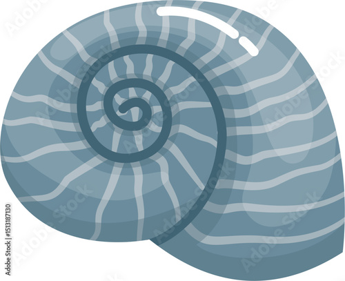 Blue Seashell illustration