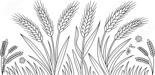Majestic Hand-Drawn Wheat Field Illustration with Detailed Botanical Line Art for Farm, Harvest, and Nature Themes