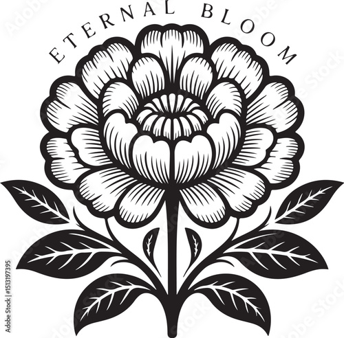 TIMELESS ETERNAL BLOOM FLORAL ILLUSTRATION