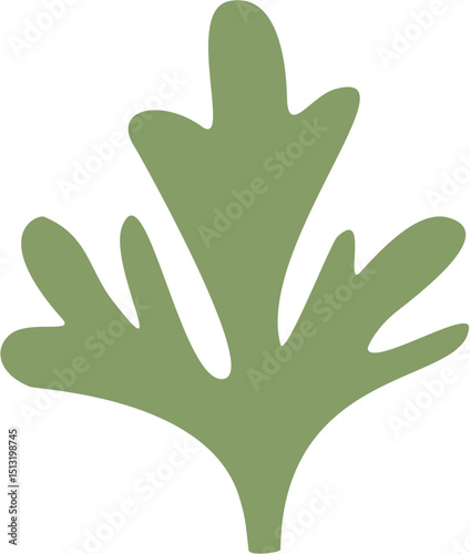 wormwood small wavy leaf zoom in