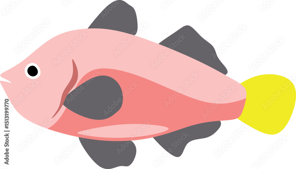 Fototapeta premium Fish Flat Illustration
