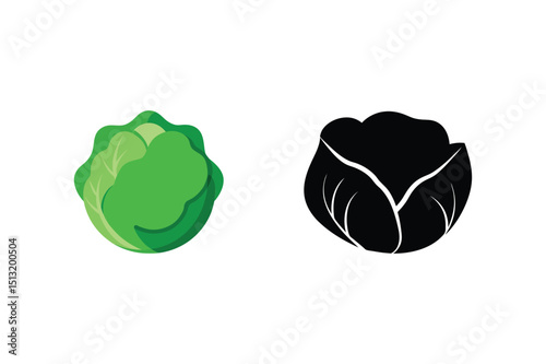 Cabbage vector illustration with green color and black silhouette version