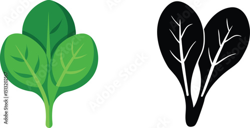 Fresh spinach leaves vector illustration with black silhouette for design elements