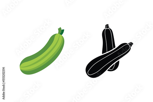 Fresh green zucchini vegetable in color and silhouette vector illustration