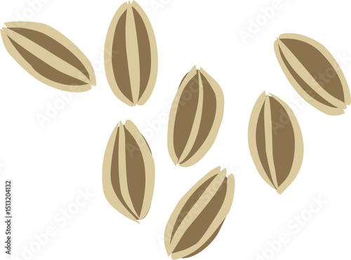 celery, herbal medicine and food, cooking ingredients, seeds