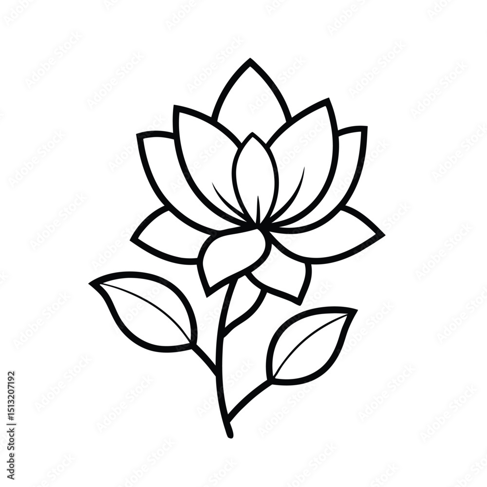 vector illustration of a flower vector illustration of a flower