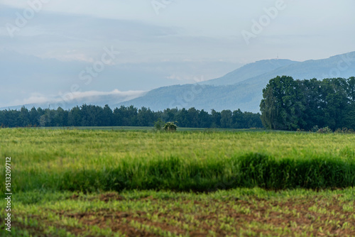 Fototapeta Naklejka Na Ścianę i Meble -  Widok na pola i Skrzyczne z Bestwiny, Śląsk. 