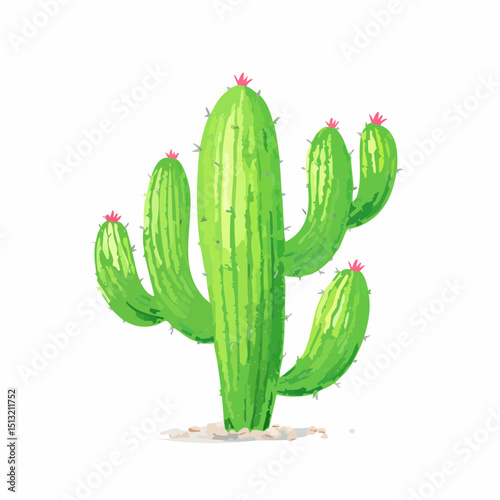 Cactus Elegance: A vibrant illustration showcases a stately cactus, its green form adorned with delicate blooms, against a clean backdrop.