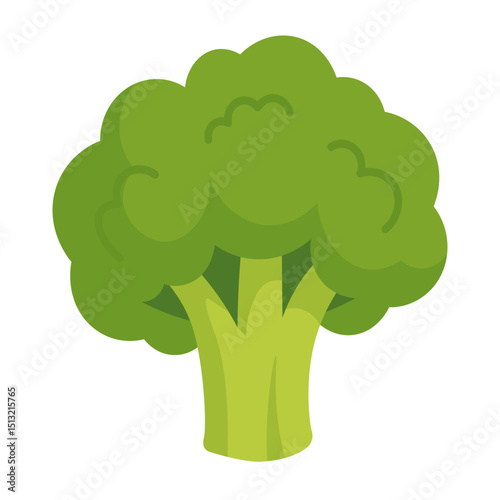 Vector illustration of a green broccoli vegetable in cartoon flat style, isolated on white background.