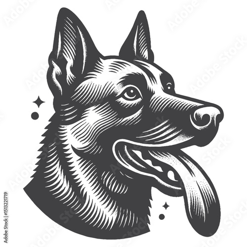 Vintage Hand-Drawn Belgian Malinois Head With Tongue Out Illustration – Rustic Engraved Style Vector For T-Shirts, Posters, Stickers, And Playful Pet Apparel