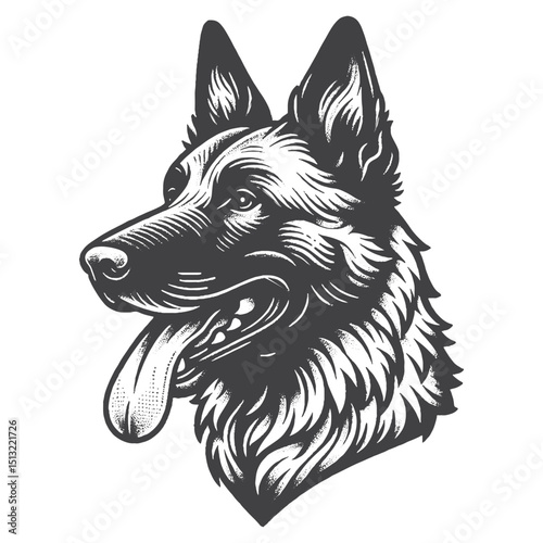 Vintage Hand-Drawn Belgian Malinois Head With Tongue Out Illustration – Rustic Engraved Style Vector For T-Shirts, Posters, Stickers, And Playful Pet Apparel
