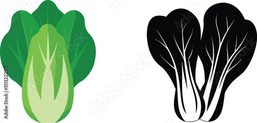Bok choy vegetable illustration in color and black and white vector design