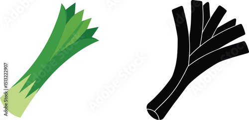 Isolated leek vegetable vector graphic with color and silhouette options