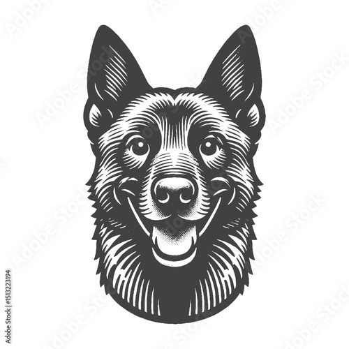 Vintage Hand-Drawn Belgian Malinois Grinning Mischievously Illustration – Rustic Engraved Style Vector For T-Shirts, Posters, Stickers, And Playful Pet Apparel