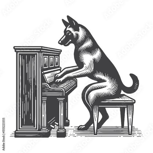 Vintage Hand-Drawn Belgian Malinois Playing Piano Illustration – Rustic Engraved Style Vector For T-Shirts, Posters, Stickers, And Musical Pet Apparel