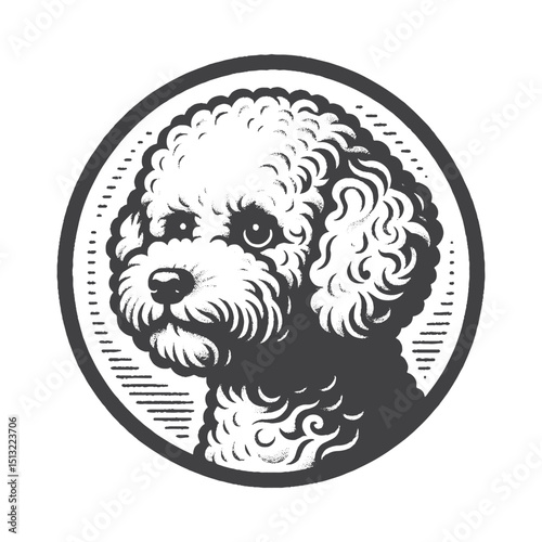 Vintage Hand-Drawn Bichon Frise Head Side Portrait With Curious Eyes Illustration – Rustic Engraved Style Vector For T-Shirts, Posters, Stickers, And Inquisitive Pet Apparel