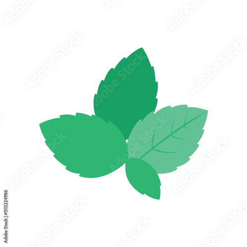 Fresh mint leaves simple flat design element on white background