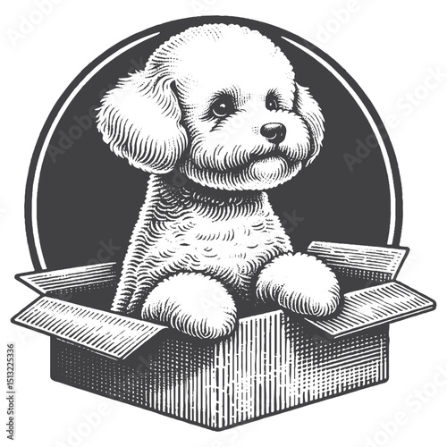 Vintage Hand-Drawn Bichon Frise Peeking From Box Illustration – Rustic Engraved Style Vector For T-Shirts, Posters, Stickers, And Playful Pet Apparel