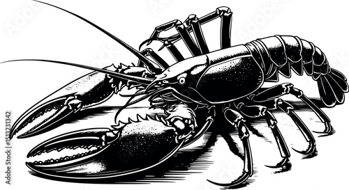 Vintage lobster linocut. Retro-style vector illustration with textured shell and bold outline.