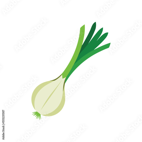 Fresh green onion vegetable illustration isolated on white background vector image