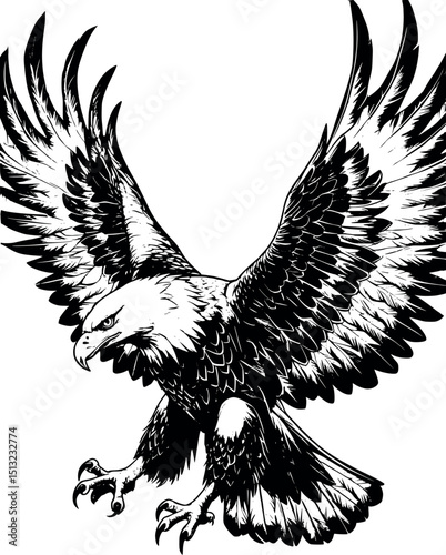 Classic engraving vector of eagle spreading wings. Detailed black ink bird illustration