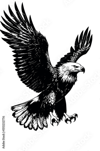 Classic engraving vector of eagle spreading wings. Detailed black ink bird illustration