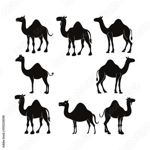 Collection of Camel Silhouettes
