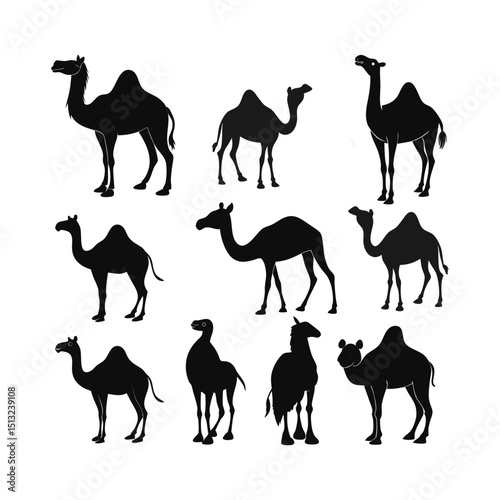 Collection of Camel Silhouettes