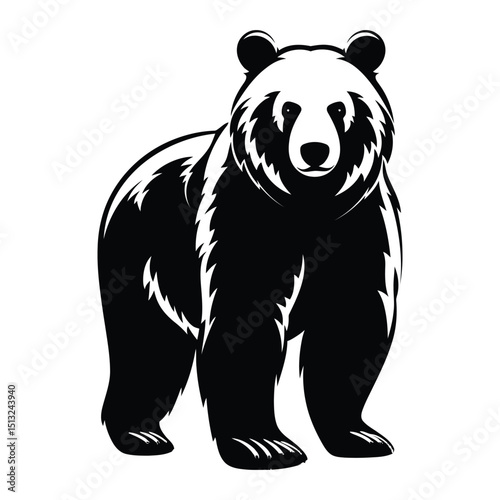 Bear on white background isolated vector art