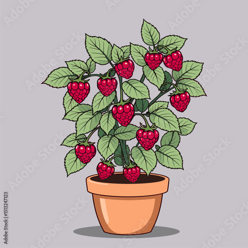 Lush Raspberry Plant in Terracotta Pot - Vibrant Illustration
