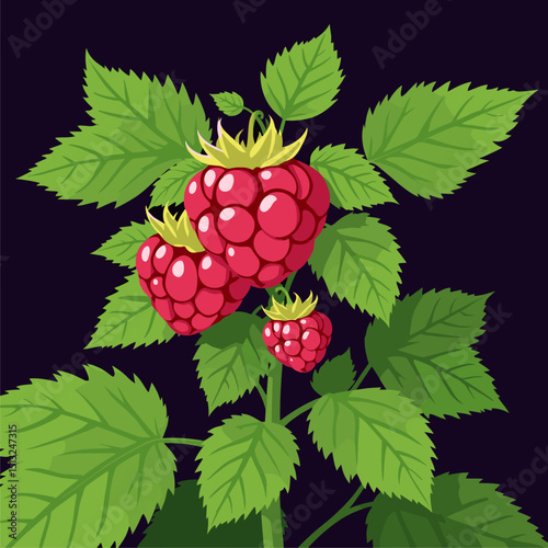 Juicy Raspberries on Branch with Lush Green Leaves - Vector Illustration