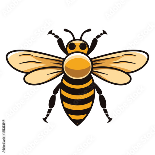 Bee vector art graphic illustration