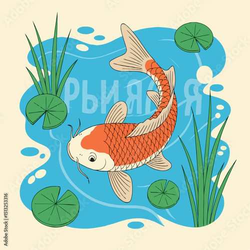colorful, aquatic, underwater, animal, fish, orange, water, black, nature, group, gold, koi, pond, wildlife, life, hobby, swim, lake, fresh, garden, background, carp, aquaculture, aquarium, pool, 