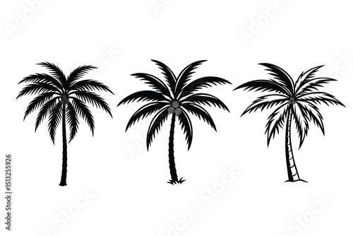 Tropical Palm Tree Vector Silhouette for Summer and Beach Design
