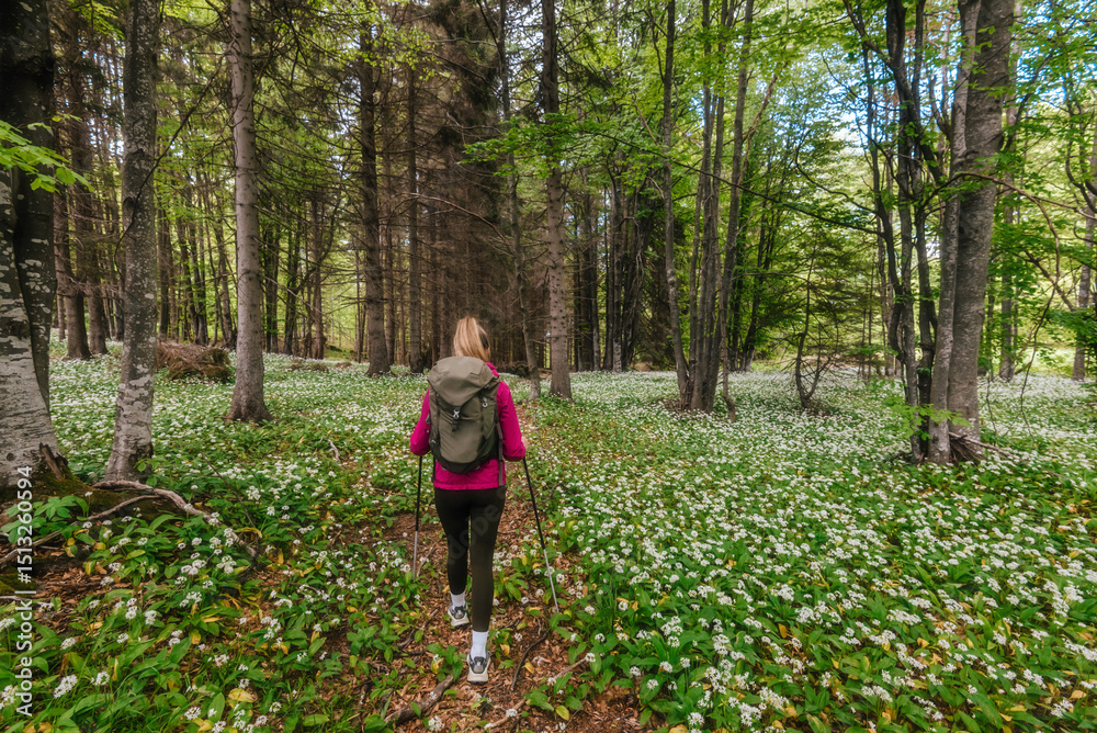 Fototapeta premium Woman Trekking in Forest with Wild Flowers