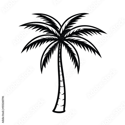palm tree silhouette
