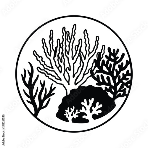 coral reef underwater marine life art on white background 