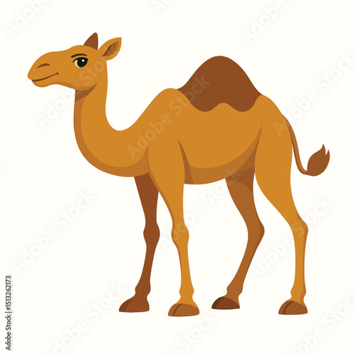 camel vector illustration