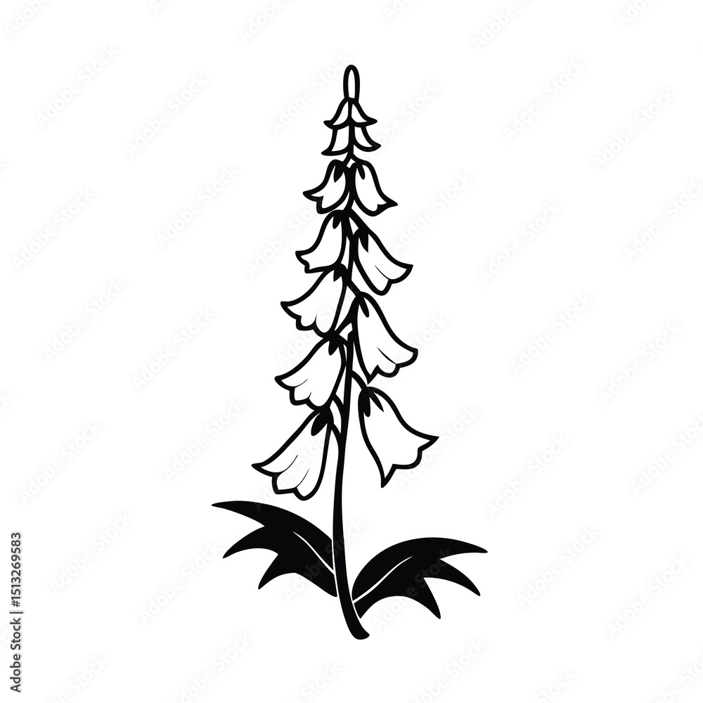 Obraz premium foxglove vector on white background 