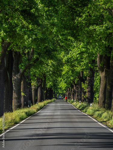 Green Tunnel - Grüner Tunnel