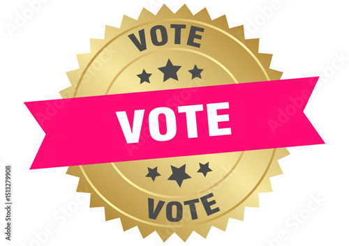 vote. vote round pink and gold label isolated on transparent background