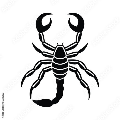 scorpion vector illustration on white background