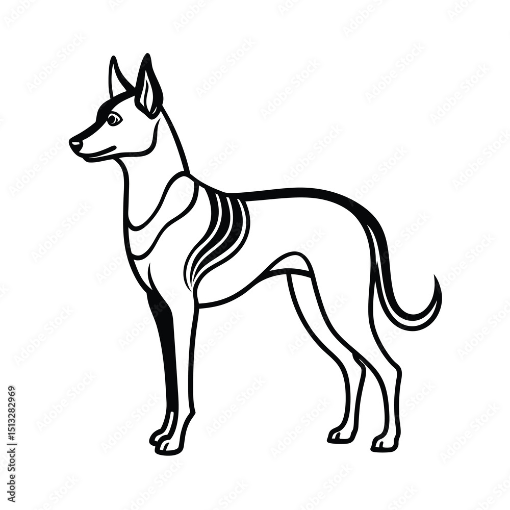 Obraz premium stylish dingo silhouette vector on white backgroun